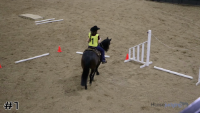 Horse #1