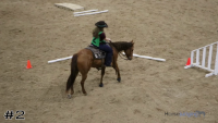 Horse #2