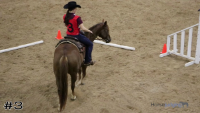 Horse #3