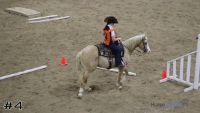 Horse #4