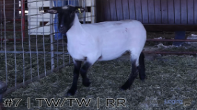 California FFA #8