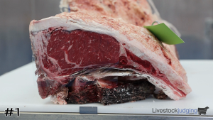 Class #1 Beef Full Loins thumbnail