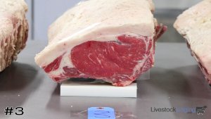 Class #1 Beef Ribs thumbnail