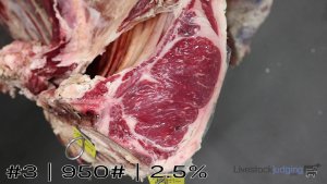 Class #4 Beef Carcass Grading thumbnail