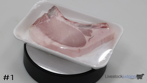 Class #7 Pork Rib Chops thumbnail