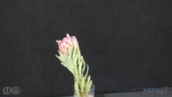 Part#9
