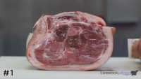 Ham#1