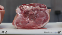 Ham#2