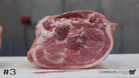 Ham#3