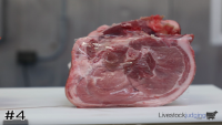 Ham#4