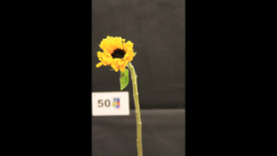 Part#50