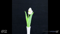 Plant#2