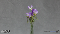 ID#20
