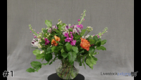 Arrangement#1