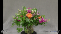 Arrangement#4