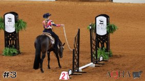 AQHA #1