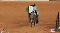 Horse#4