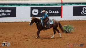 Class #3 Ranch Riding thumbnail