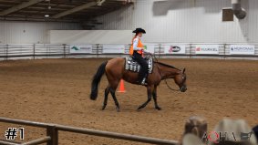 AQHA #7