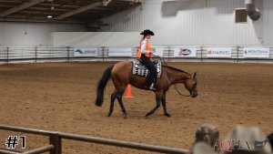 Class #7 Western Riding thumbnail