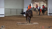 Horse#1