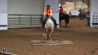 Horse#4