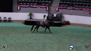 Class #3 Ranch Riding thumbnail