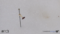 ID#13