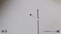 ID#9