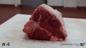 Class #2 Beef Short Loins thumbnail