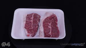 Class #7 Meat ID thumbnail