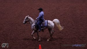 Class #2 Ranch Riding thumbnail