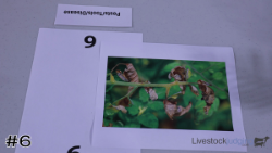 ID#6