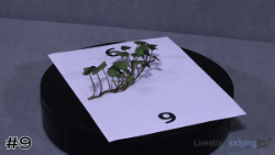 ID#9