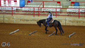 Class #2 Ranch Riding thumbnail