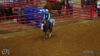 Horse#1