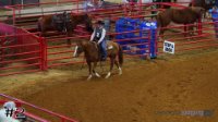 Horse#2