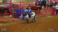 Horse#3