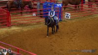 Horse#4