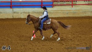 Class #5 Western Horsemanship thumbnail