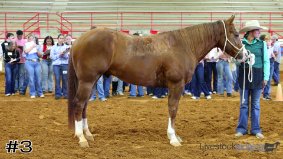 Brownsboro #7