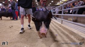 Barrow Show #7