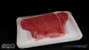 Class #8 Meat ID thumbnail