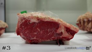 Class #2 Beef Ribs thumbnail