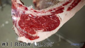 Class #2 Beef Carcasses thumbnail