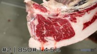 Carcass #2