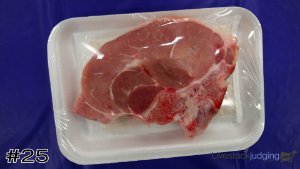 Class #11 Meat ID thumbnail