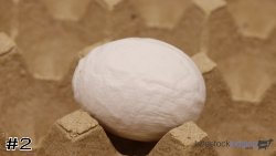 Egg#2
