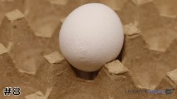 Egg#8