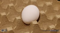 Egg#3